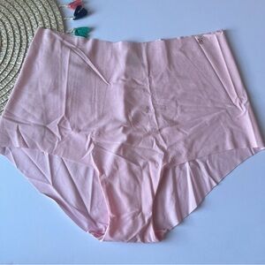 Victoria's Secret No-Show Modern Brief Panty Light Pink Large NEW